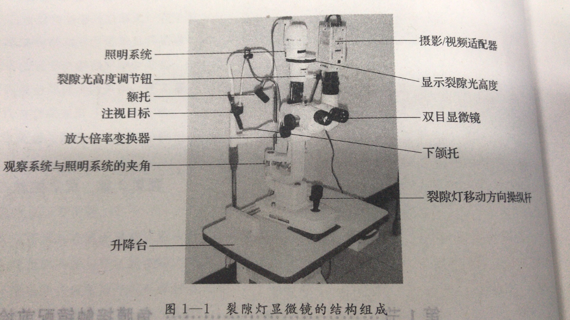 山东青岛验光师配镜培训课堂第一章裂隙灯显微镜常规眼部检查