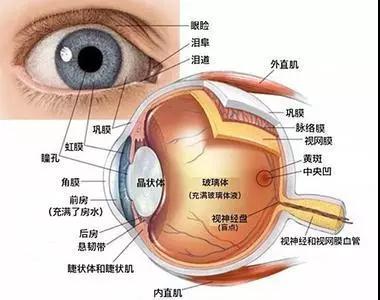 学生近视坐前排好，还是做后排好枣庄验光师培训学校分享知识